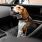 Car Seat Belt Buffer Adjustable Cool Dog Accessories