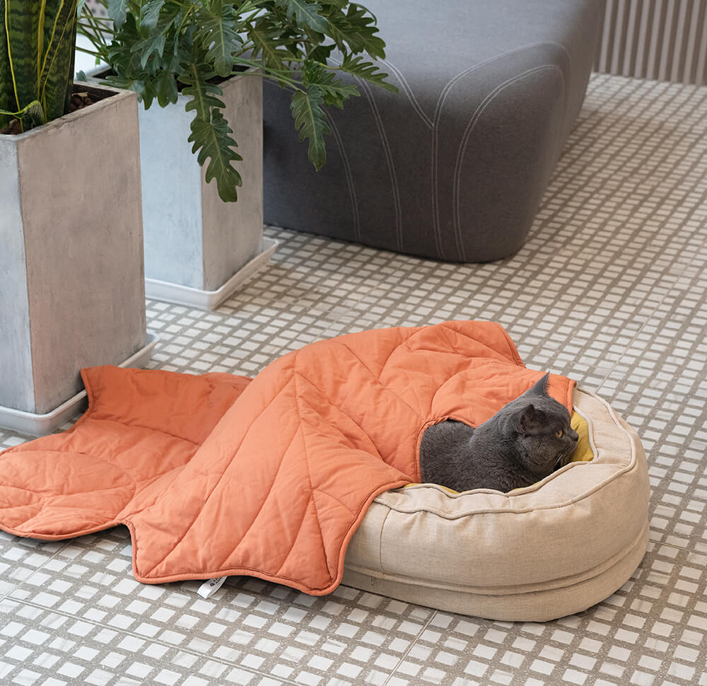 Cama de perro ortopédico de donut esponjoso