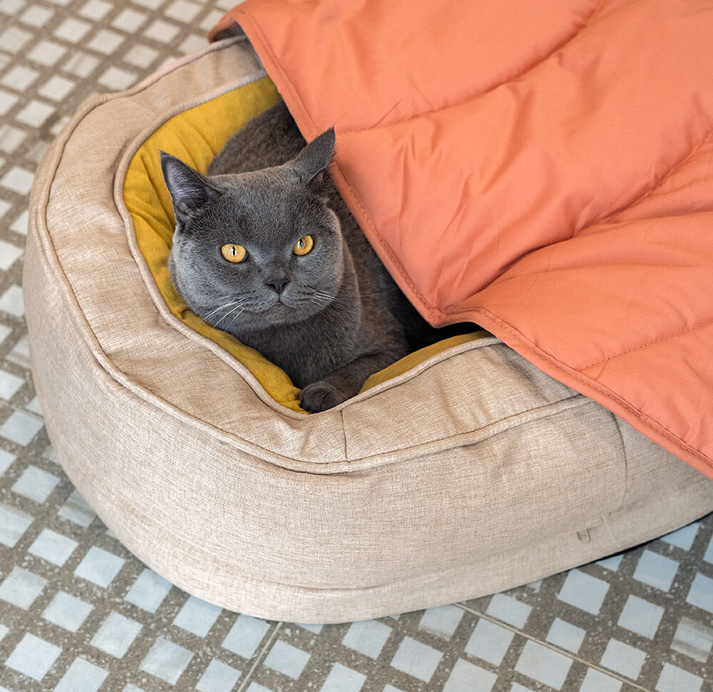 Cama de perro ortopédico de donut esponjoso