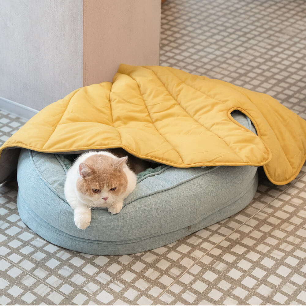 Cama de perro ortopédico de donut esponjoso