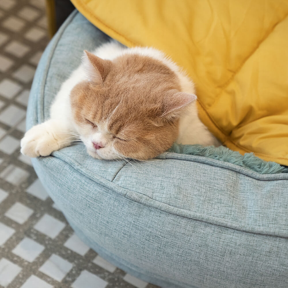 Cama de perro ortopédico de donut esponjoso