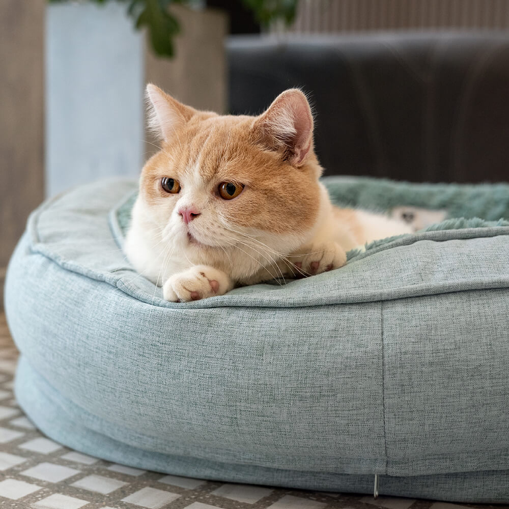 Cama de perro ortopédico de donut esponjoso