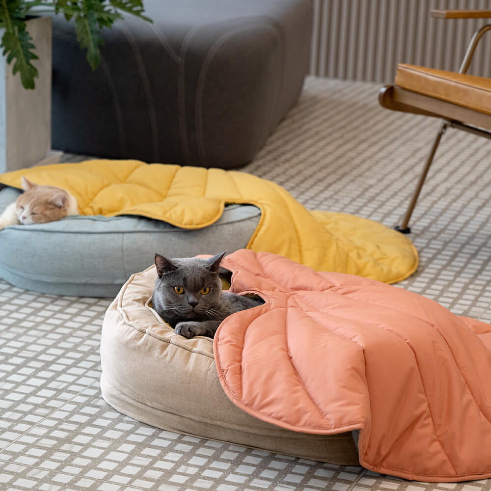 Cama de perro ortopédico de donut esponjoso