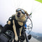 Goggles For Big Cool Dog Accessories